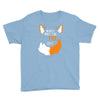 for fox sake Youth Tee