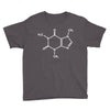 Caffeine Molecule Youth Tee