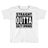 straight outta salty springs Toddler T-shirt