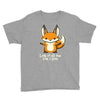 all the fox Youth Tee