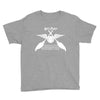 harry Potter Quidditch T-Shirt Youth Tee