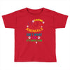 caring for animals isn't what i do it's who i am Toddler T-shirt