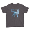 Expecto Patronum Youth Tee