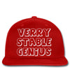 verry stable genius Snapback