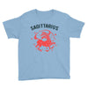 sagittarius zodiac Youth Tee