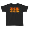 pumpkin pumpkin pumpkin Toddler T-shirt