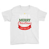 have a merry christmas and a happy new year Youth Tee