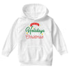 we wish you happy holidays &amp; merry christmas Youth Hoodie