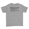 Bisexual Dictionary Youth Tee