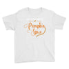 my favorite season is pumpkin spice Youth Tee