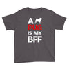 a pug is my bff Youth Tee
