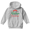 we wish you happy holidays &amp; merry christmas Youth Hoodie