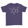 Caffeine Molecule Youth Tee