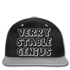 verry stable genius Snapback